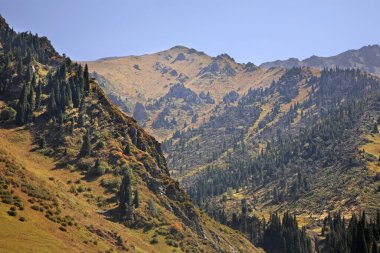 Medeo Vadisi manzarası. Kazakistan 