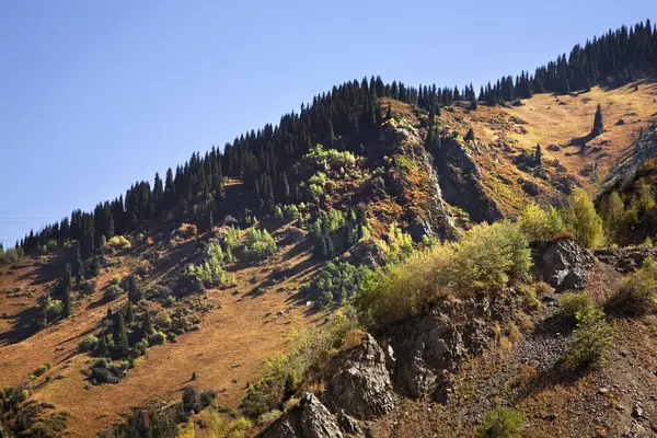 Medeo Vadisi manzarası. Kazakistan 