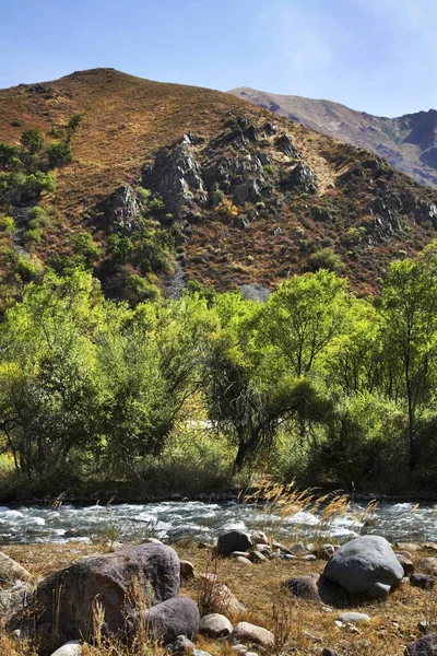 Río Turgen Garganta Turgen Kazajstán — Foto de Stock