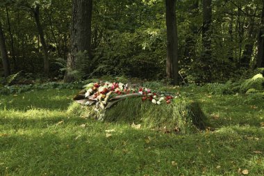 Leo Tolstoy 'un Yasnaya Polyana' daki mezarı. Oblastlı Tula. Rusya