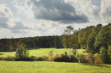 Yasnaya Polyana yakınlarındaki manzara - Parlak Glade çiftliği. Oblastlı Tula. Rusya