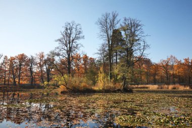 Cesky Krumlov 'daki Castle Gardens. Çek Cumhuriyeti
