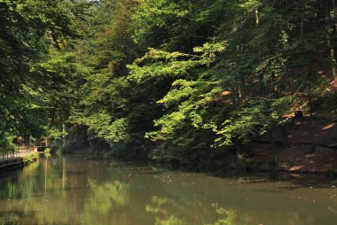 Grunbach - Rathen köyü yakınlarındaki Sakson İsviçre Ulusal Parkı 'nda Green Bach. Almanya