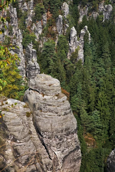 Bastei Alle Montagne Arenaria Dell Elba Vicino Villaggio Rathen Parco — Foto Stock