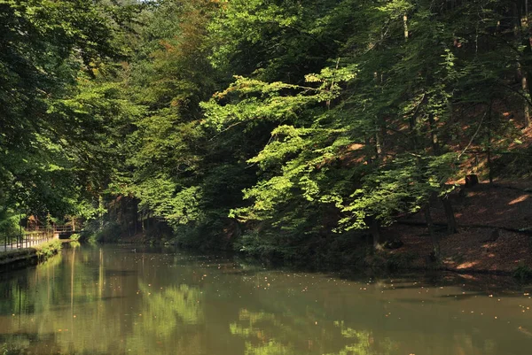 Grunbach - Rathen köyü yakınlarındaki Sakson İsviçre Ulusal Parkı 'nda Green Bach. Almanya
