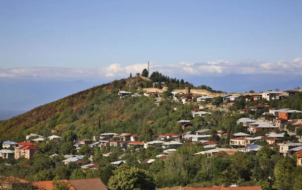 Панорамный Вид Синьяги Кахети Грузия — стоковое фото