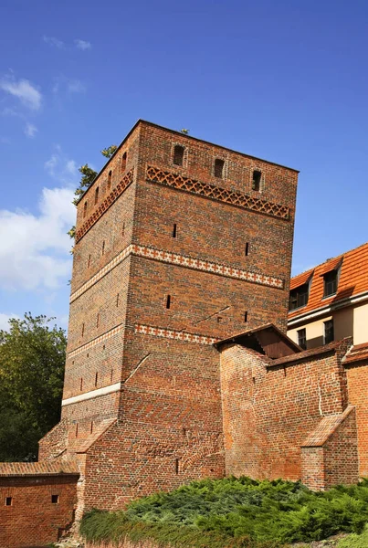 Krzywa Wieża Toruniu Polska — Zdjęcie stockowe