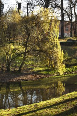 Brzeg 'deki Central Park' ta. Opole Voyvodalığı. Polonya
