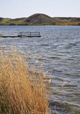Tunaycha Gölü. Tamam. Sakhalin. Uzak Doğu. Rusya