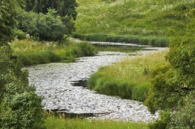 Pavlovsk Sarayı 'ndaki Slavyanka Nehri Vadisi ve Saint Petersburg yakınlarındaki Park Topluluğu. Rusya