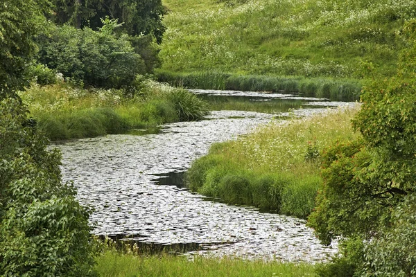 Lembah Sungai Slavyanka Istana Pavlovsk Dan Taman Ensembel Dekat Sankt — Stok Foto