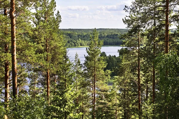 Landschap Bij Maselga Dorp Kargopol District Oblast Archangelsk Rusland — Stockfoto