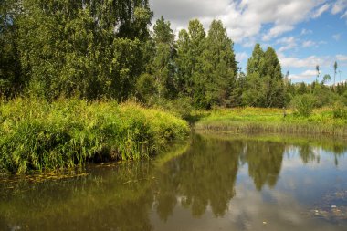 Uglich ilçesine bağlı Divnaya Gora (Harika Dağ) köyü yakınlarındaki Vorzhekhot nehri. Rusya