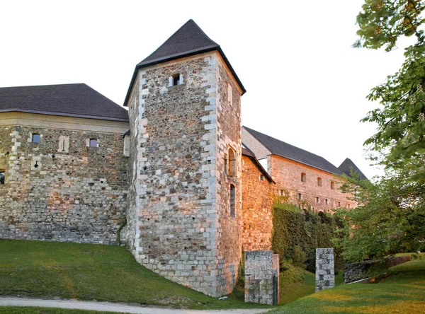 Vista Castelo Liubliana Eslovenia — Fotografia de Stock