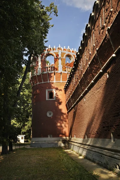 Klasztor Donskoy Moskwie Rosja — Zdjęcie stockowe