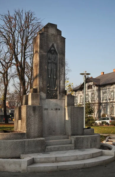Mémorial Aux Victimes Première Guerre Mondiale Cesky Tesin République Tchèque — Photo