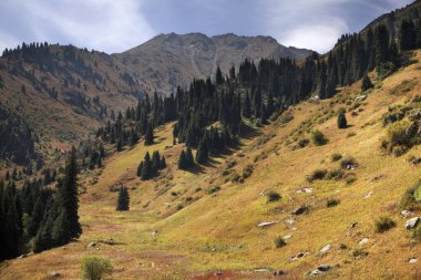 Medeo Vadisi manzarası. Kazakistan 