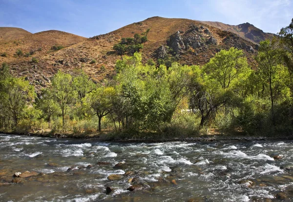 Turgen Rivier Turgen Kloof Kazachstan — Stockfoto