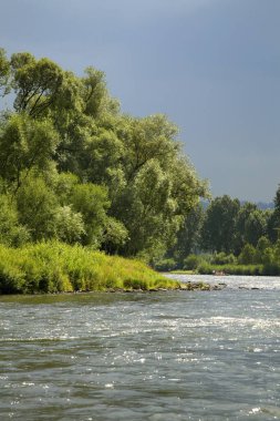 Dunajec nehri manzarası. Polonya