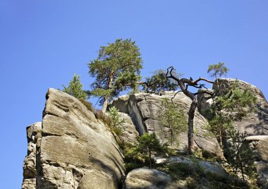 Adrıspanaklı Teplice Kayaları. Çek Cumhuriyeti