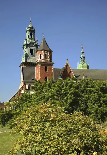 Koninklijke Aartskathedraal Basiliek Van Heiligen Stanislaus Wenceslaus Wawel Kasteel Krakau — Stockfoto