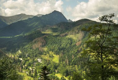 Zakopane manzarası. Polonya