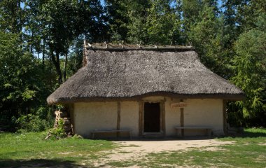 Biskupin 'de tarihi yerleşim yeri. Polonya
