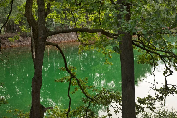 Rakotzsee Lake Parku Kromlau Gablenzu Německo — Stock fotografie