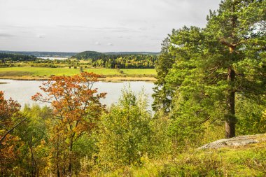 View from Kuhavuori mountain in Vakkosalmi park. Sortavala (Serdobol). Republic of Karelia. Russia clipart
