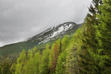 Stary Smokovec yakınlarındaki manzara. Slovakya