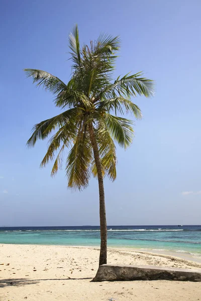 Isla Villingili República Las Maldivas — Foto de Stock