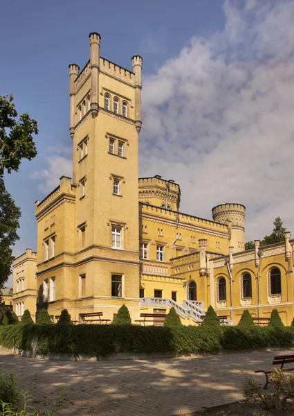 位于Jablonowo Pomorskie附近的Narzymski家城堡 免版税图库照片