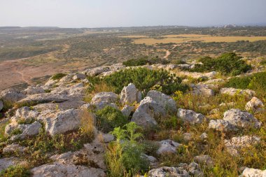Ayia Napa yakınlarındaki Cape Greco Ulusal Orman Parkı. Kıbrıs