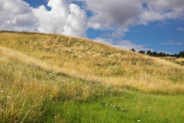 Golub-Dobrzyn 'deki manzara. Polonya