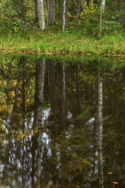 Ruskeala köyü yakınlarındaki Tohmajoki nehri. Sortavala bölgesi. Karelia Cumhuriyeti. Rusya