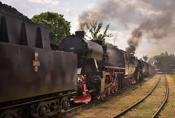 Železniční Skansen Chabowce Polsko — Stock fotografie