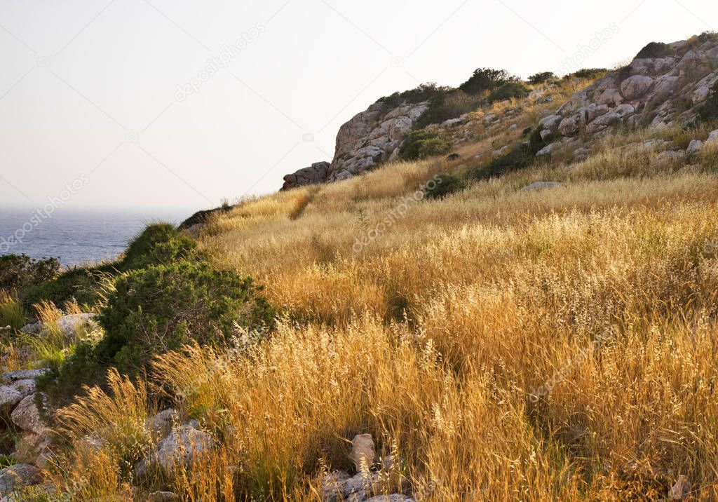 Cape Greco National forest park near Ayia Napa. Cyprus