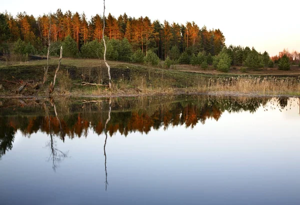 Řeka Toropa Poblíž Toropets Tver Oblast Rusko — Stock fotografie