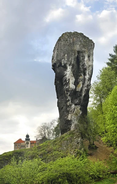 Maczuga Herkulesa Monadnock Près Château Pieskowa Skala Little Dog Rock — Photo