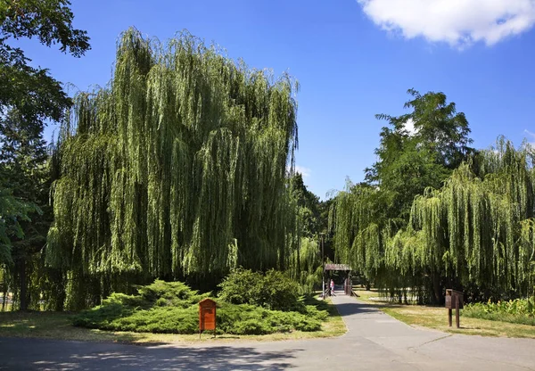 stock image Naderde park in Debrecen. Hungary