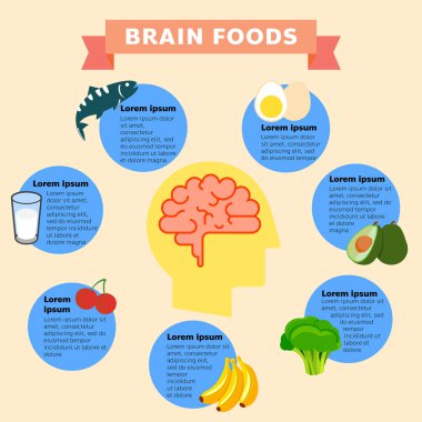 Beyin Foods Infographics. Beyin gıdalar Infographic bir vektör Illustration. Beyin gıda vektör düz Infographics. Vektör düz karikatür illüstrasyon simgesi. Hepsi tek bir katmanda. Vektör Illustration.