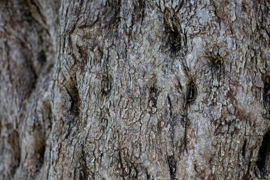 doku için gri ahşap parçası