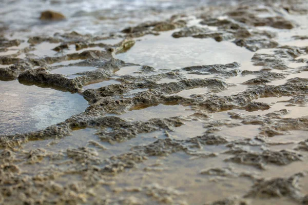 Den Steniga Stranden Syns Pooler Med Havsvatten — Stockfoto