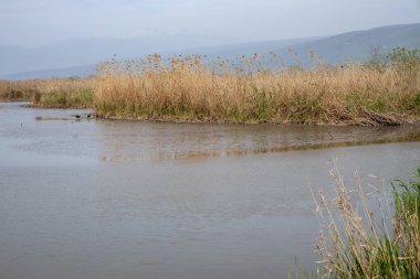 Agmon ahula - Hermon Dağı 'na tepeden bakan göçmen kuşlar için göl ve rezerv