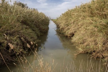 Agmon Hahula - Kuzey İsrail 'deki Göçmen Kuşlar İçin Göl ve Rezerv
