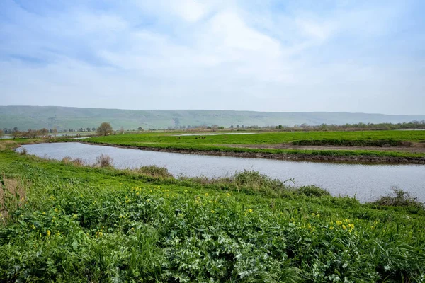 Agmon Hahula - Kuzey İsrail 'deki Göçmen Kuşlar İçin Göl ve Rezerv
