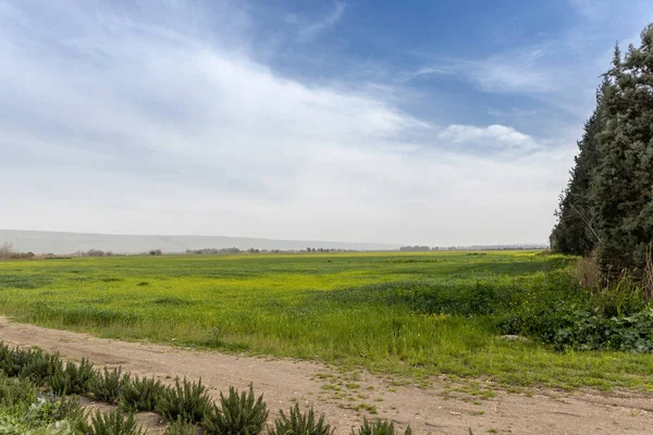 Green Fields Reeds Lakes Mountains Hula Nature Reserve North Israel — Stock Photo, Image