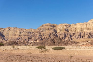 İsrail 'de Timna Vadisi denilen Arava çölünün bir kısmının taşları, dağlarını ve bitkilerini görmek