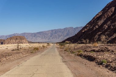 İsrail Çölü Arava 'daki Timna Parkı' ndaki yol manzarası. Mavi gökyüzü, kırmızı-kahverengi dağlar ve taşlar ve birkaç çöl ağacı.