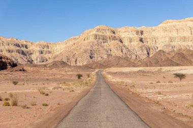 İsrail Çölü Arava 'daki Timna Parkı' ndaki yol manzarası. Mavi gökyüzü, kırmızı-kahverengi dağlar ve taşlar ve birkaç çöl ağacı.